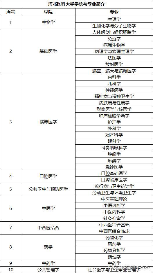 大学时期应掌握的基础知识