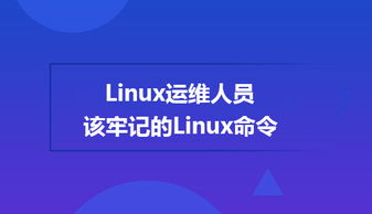 基础知识,linux