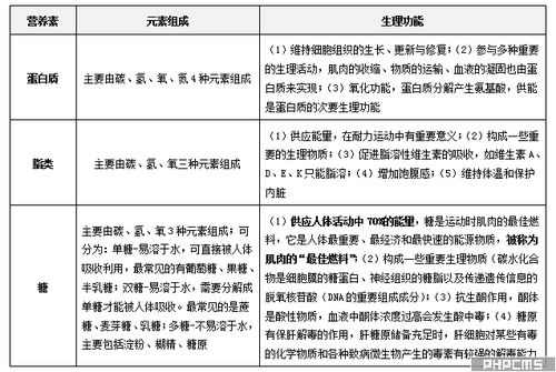 体育教师基础基本知识