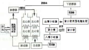 如何牢固基础知识