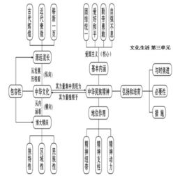 高中政治基础知识汇总,高中政治基础知识填空,怎样夯实语文基础知识