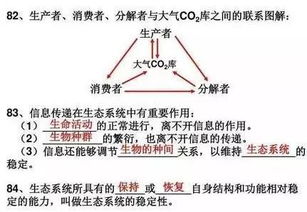 体育课教训目的要求教材重难点基础知识训练