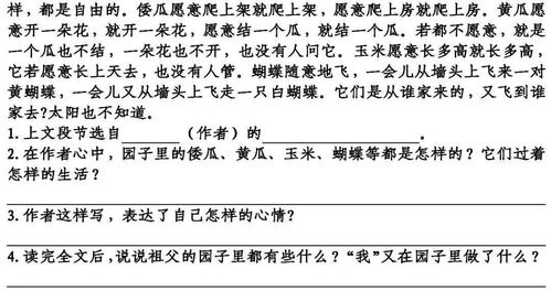 三年级语文基础知识专项训练(一),初二语文基础知识专项训练,三年级语文基础知识专项训练