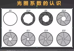 单反摄影入门基础知识,单反使用基础知识,单反入门基础知识