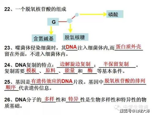 辩证法基础知识百度文库