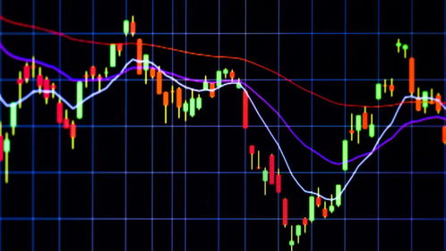 外汇macd参数基础知识