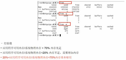 保育员基础知识100题,少先队基础知识100题,眼科基础知识100题