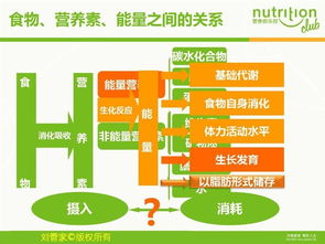 营养是基础知识