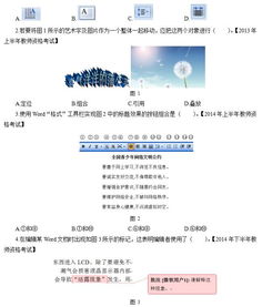 初中信息技术专业基础知识