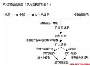 归纳,基础知识,重点