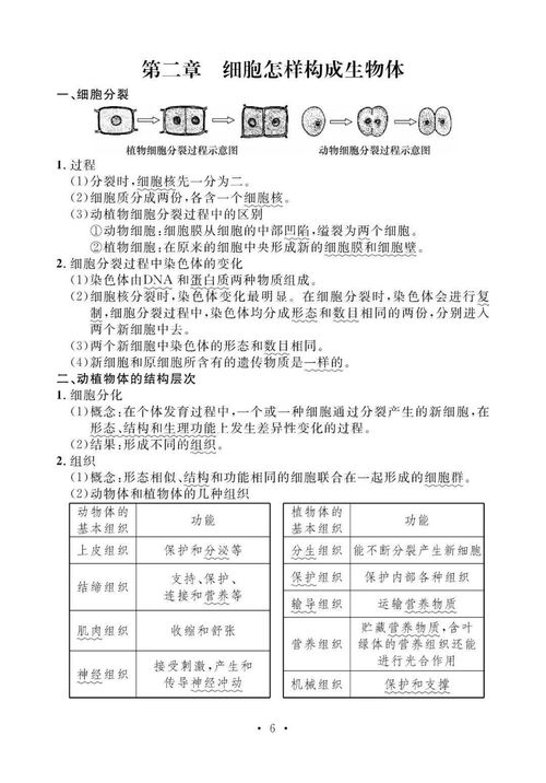 生物基础知识点初中