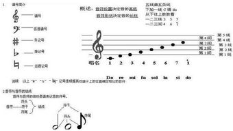 音乐基础知识初级怎样识谱