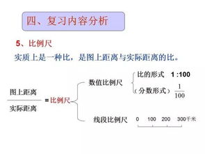 基础知识,比例