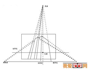 看透视片的基础知识