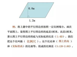 人体比例基础知识,绘画比例结构基础知识,第六单元基础知识