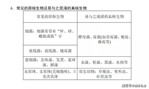 细胞的生活基础知识反馈