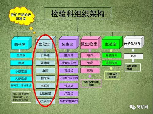 检验科基本基础知识