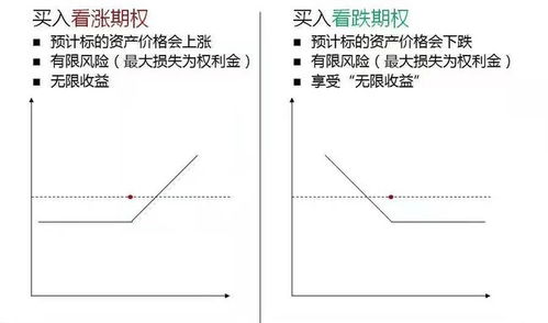 商品期权基础知识答案