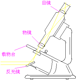 放大镜基础知识