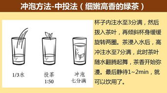 六大基本茶类冲泡的基础知识