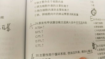 检察专业基础知识真题,审判专业基础知识真题,检察专业基础知识难吗