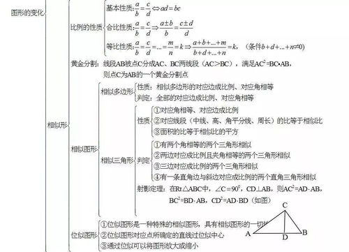 初中数学知识点基础梳理