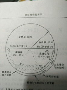 植物营养学基础知识