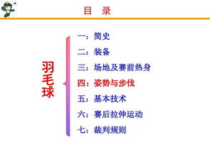 羽毛球基础知识感想