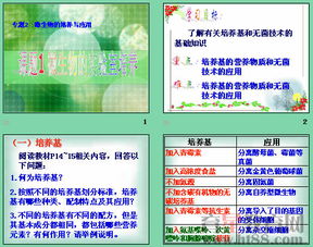 无菌技术的相关知识,无菌技术相关知识试题,无菌技术相关知识ppt