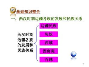 自主考试文化基础知识