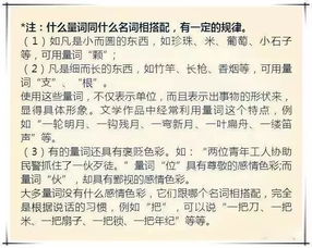 小学语文基础知识大全,小学语文基础知识归纳,小学语文语法基础知识