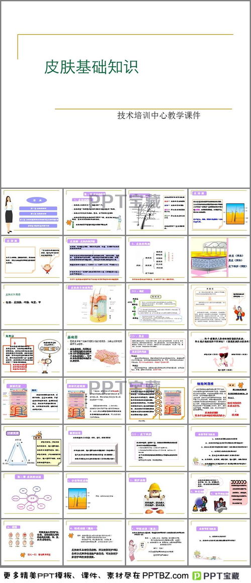 皮肤基础知识培训教材6