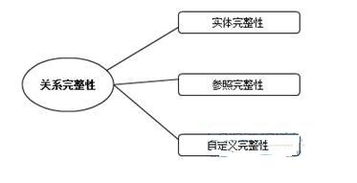 oracle基础知识（十二）