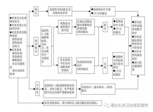 严重精神障碍基础知识