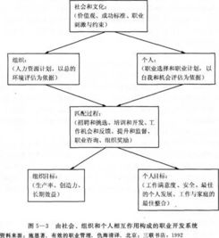 基础的人力资源管理知识