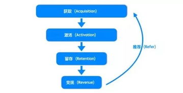 基础知识体系的提出