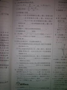 数学基础知识九级