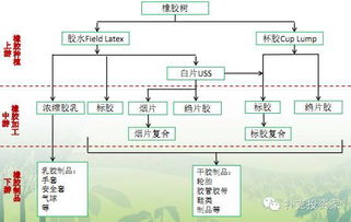 天然橡胶交易基础知识